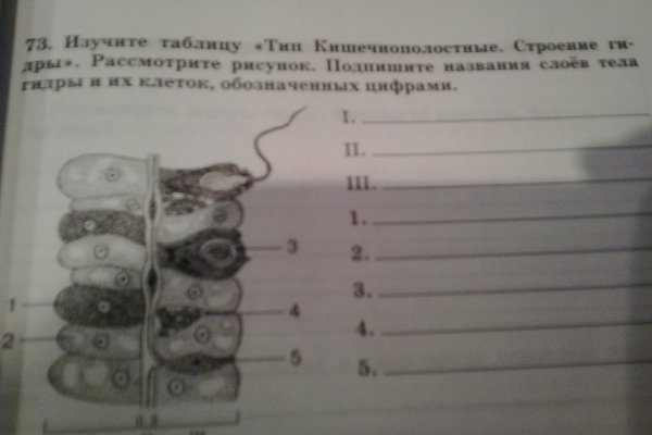 Войти в кракен